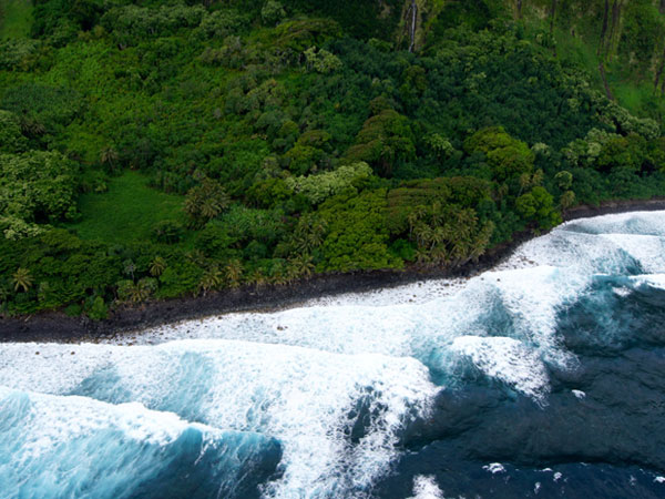 हरे आईलैंड