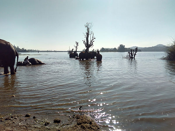 तुंगभद्रा बांध