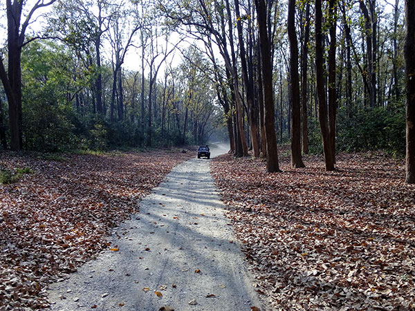 कुमाऊं कैसे पहुंचे