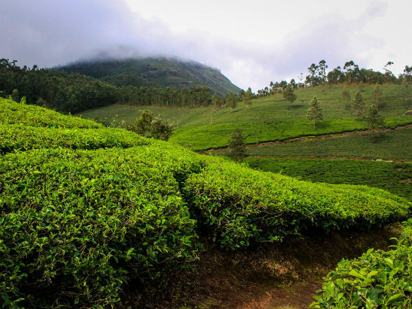 मुन्‍नार