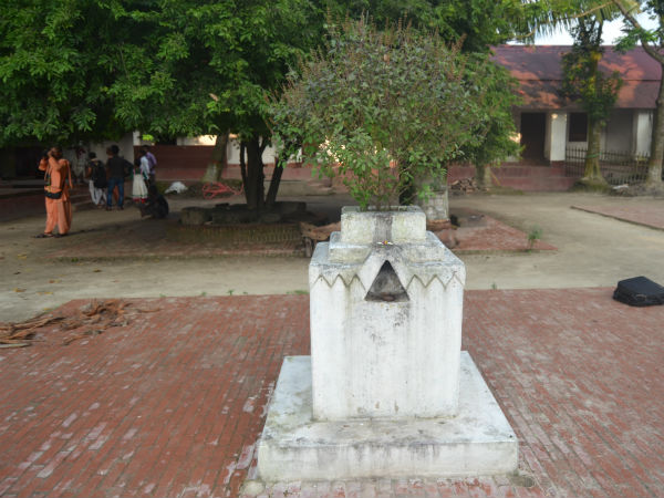 तुलसी मंदिर