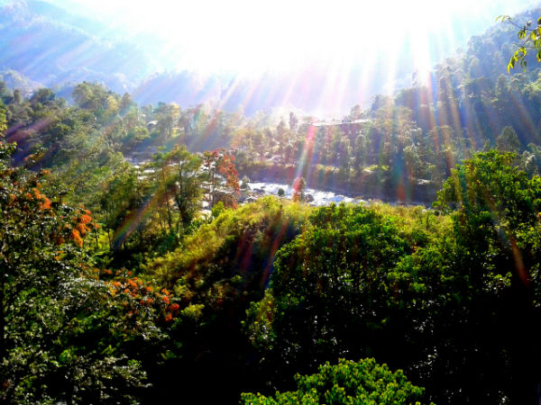 सरमसा गार्डन