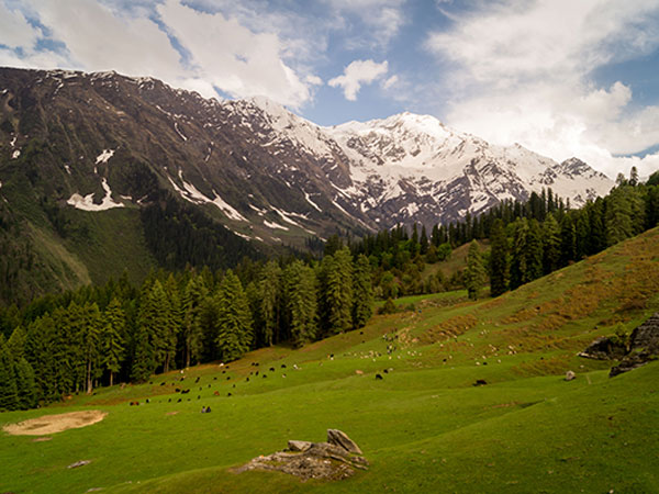 हिमालय नेशनल पार्क