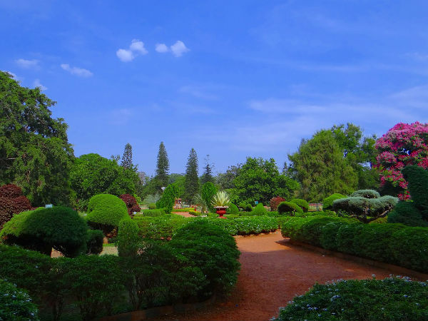 जवाहरलाल नेहरू बोटानिकल गार्डन