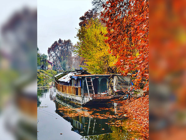 चिनार बाग