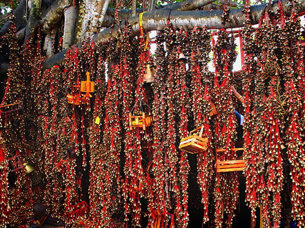  राम मंदिर