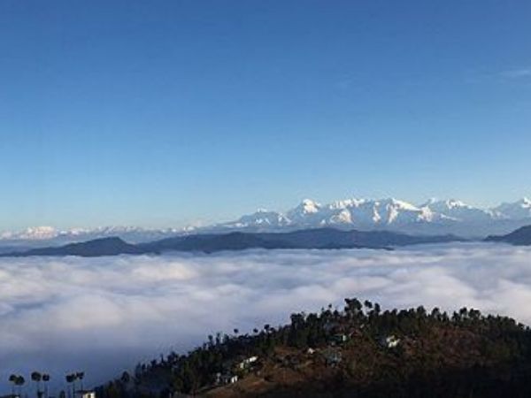 binsar almoda