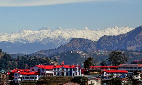 shimla himachal pradesh 