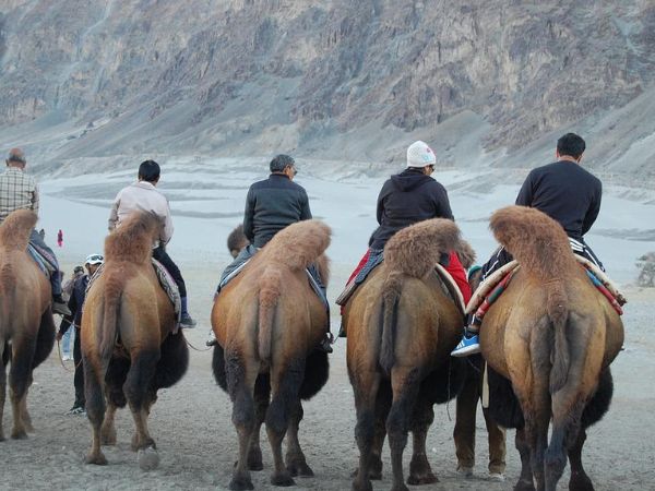 nubra valley