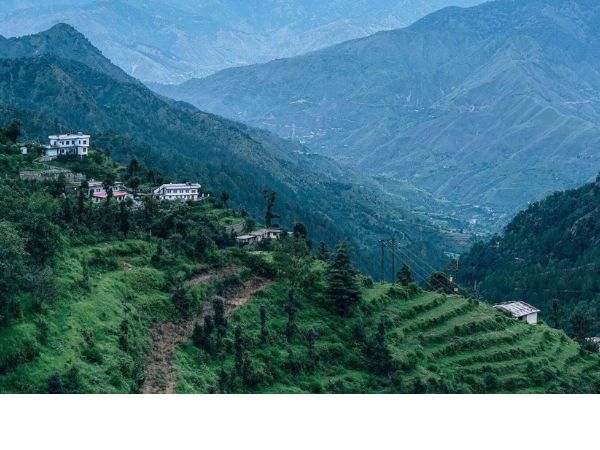 धनौल्टी