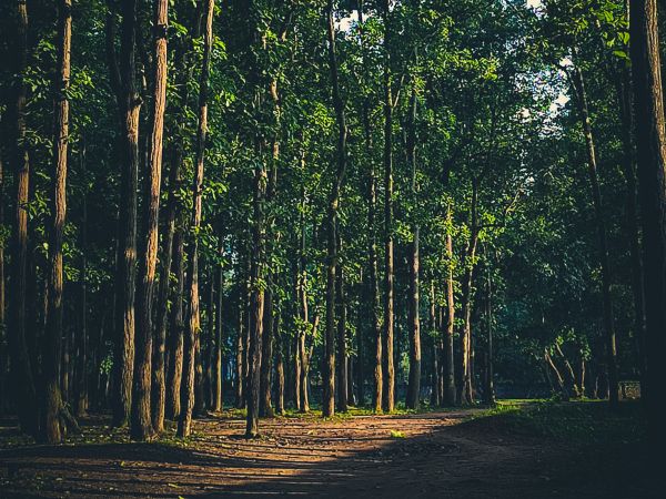 गुमला के खौफ से रात में बंद रहता है पुलिस हेडक्वॉर्टर