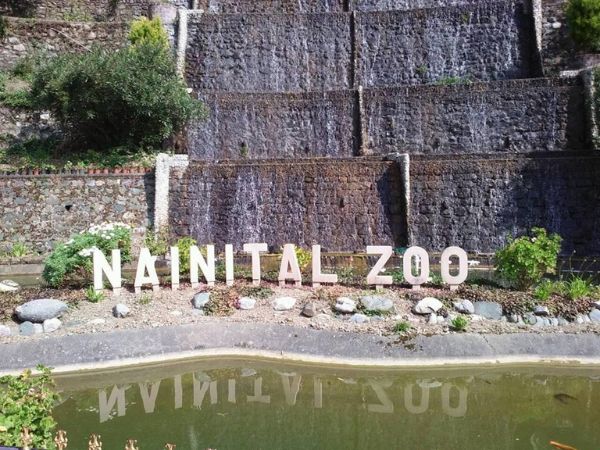 दूसरे राज्यों में भेजे जा रहे नए बाघ और तेंदुए दूसरे राज्यों में भेजे जा रहे नए बाघ और तेंदुए