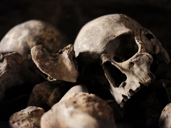 निमतला घाट, कोलकाता