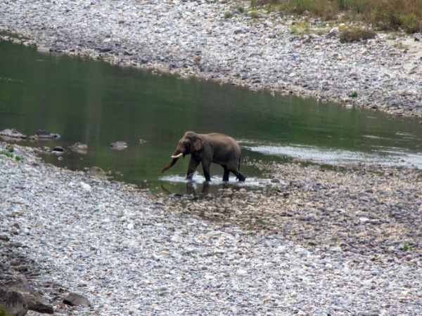 मर्चुला कैसे पहुंचें?
