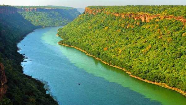 chambal river