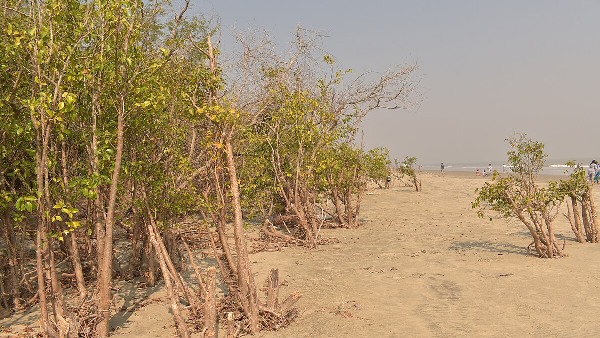 henrys island west bengal