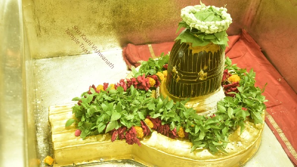 kashi vishwanath