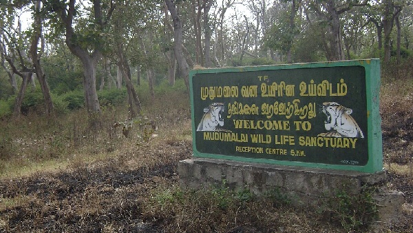 madhumalai national park