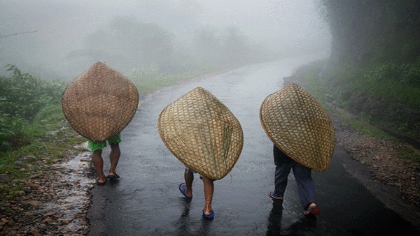 Umbrella made with bamboo
