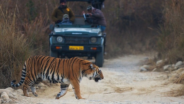 jim corbett