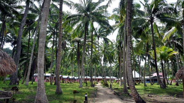 Havlock iceland Havlock iceland