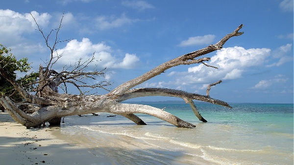 andaman island andaman island