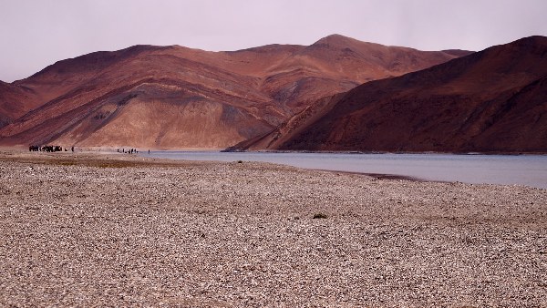 mountains of ladakh