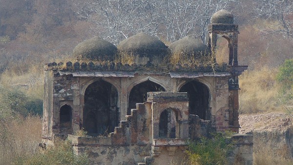 national park rajasthan