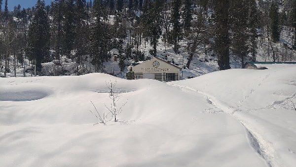 snowfall himachal 