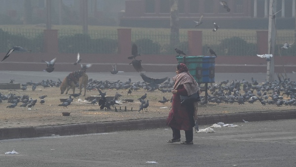 cold morning in delhi
