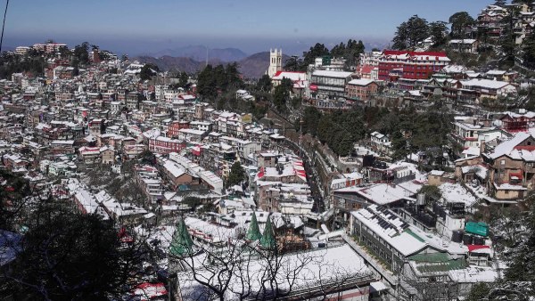 shimla