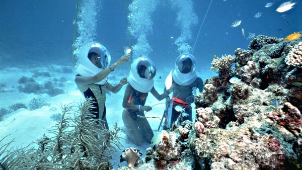 sea walk andaman and nicobar 