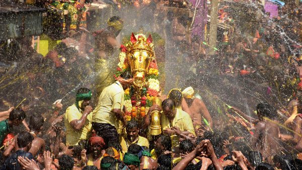 golden horse chithirai madurai