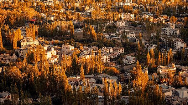 ladakh town