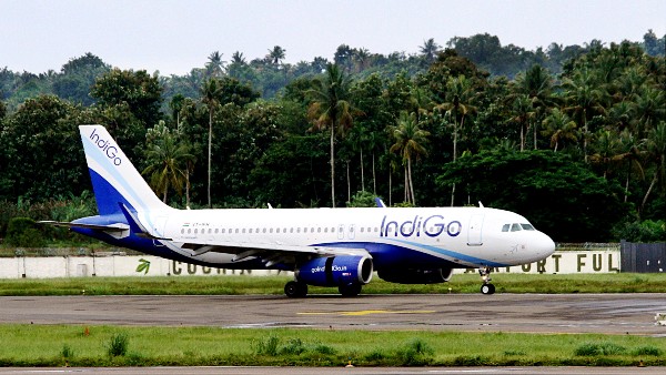 in flight service indigo