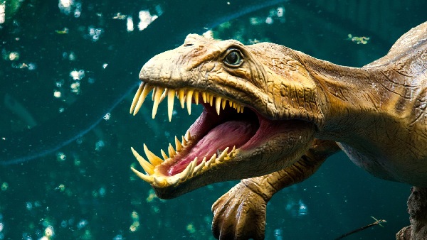 dinosaur modal lucknow uttar pradesh