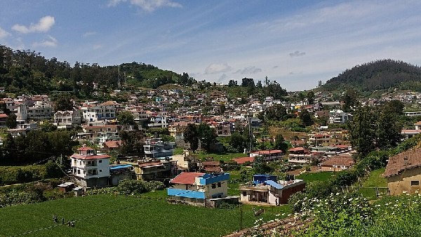 ooty