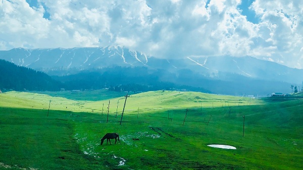 gulmarg summer season