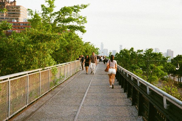 bangalore cubbon park