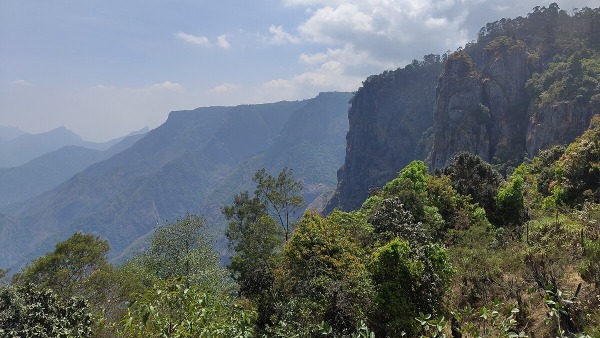 kodaikanal tamilnadu