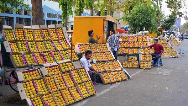 mango mahotsav patna