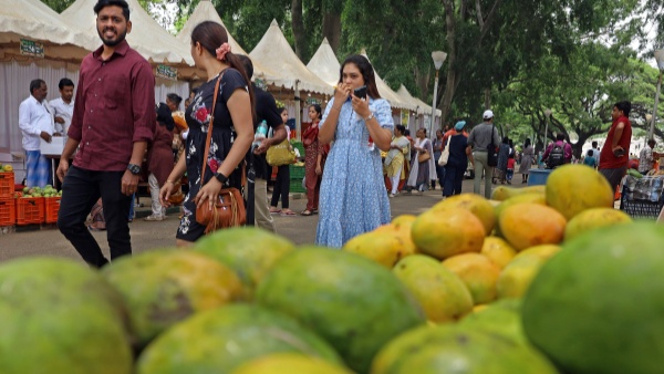 mango mahotsav bihar patna