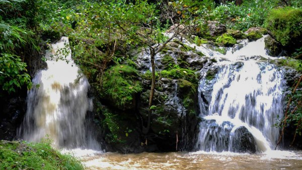 visit these waterfalls in july in karnataka