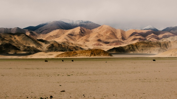 ladakh new district ladakh new district