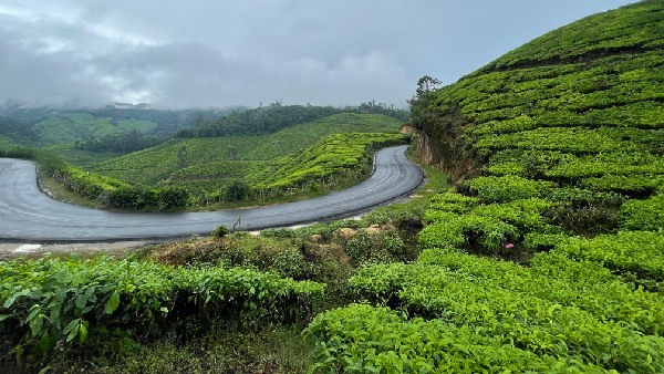 munnar kerala