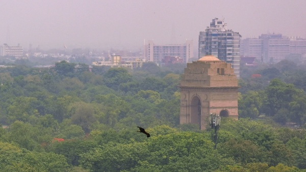 delhi