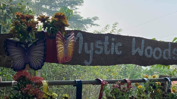 mystic woods goa