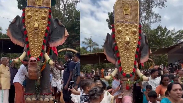 kerala robot elephant