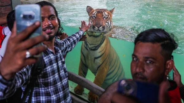 mumbai byculla zoo bmc app