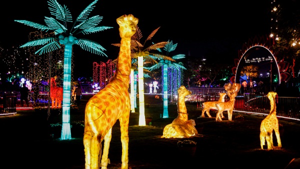 ahmedabad glow garden